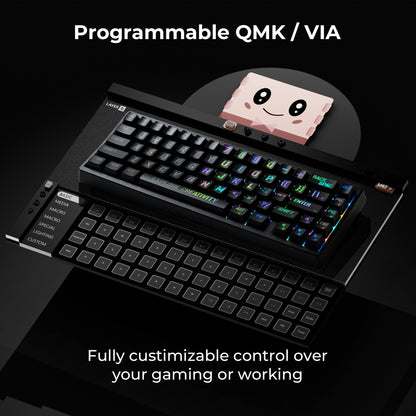 XVX M67 Miami VIA Tri-Mode Mechanical Keyboard with IMD-Tech Keycaps