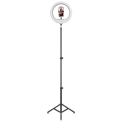 Supersonic PRO Live Stream 14” Floor Ring Light with RGB (SC-2430RGB)